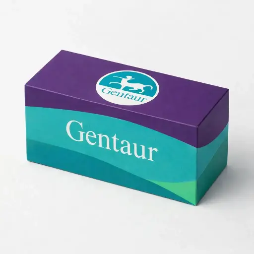 P/P013/NL294/RFLBD-400X600-1 Prohibited Activity Signs (No Adhesive)