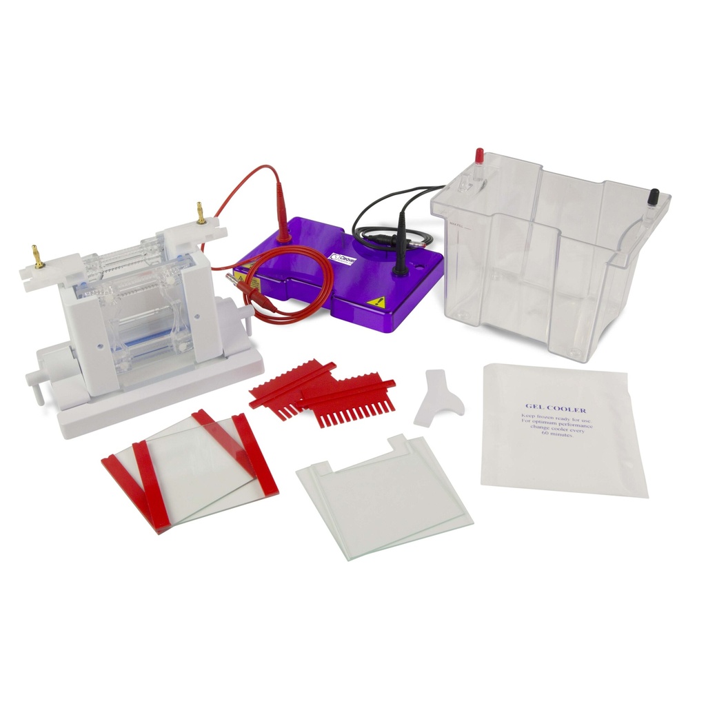 OmniPAGE Mini Dual Vertical Gel Electrophoresis Tank 10 x 10cm. Complete with 2 Sets of Glass Plates, 1mm Thick Bonded Spacers, 2 x 12 Sample 1mm Thick Combs. Including Caster, Clamp Version and External Casting Upstand