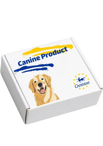 Canine IL-7 Fast ELISA